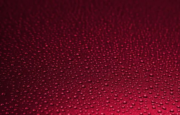 Water, drops, macro, surface