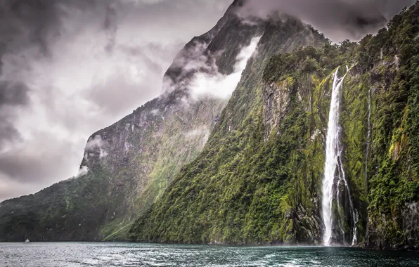 Vegetation, waterfall, New Zealand, New Zealand, waterfall, Milford Sound, vegetation, Milford Sound