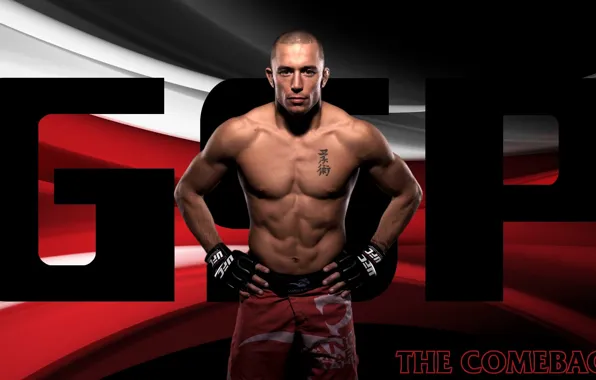 Picture fighter, fighter, champion, mma, ufc, mixed martial arts, georges st-pierre