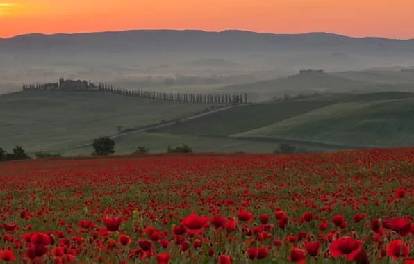 Picture field, the sky, sunset, flowers, fog, hills, Maki, Italy