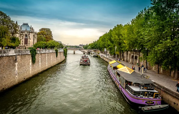 Picture the sky, trees, bridge, river, France, Paris, ship, home