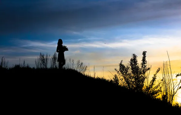 Picture the sky, girl, sunset, flowers, silhouette
