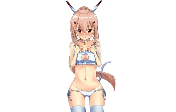 Girl, sexy, lingerie, pantsu, bra, cleavage, panties, thighhighs