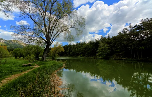 Forest, water, clouds, trees, mountains, lake, reflection, France