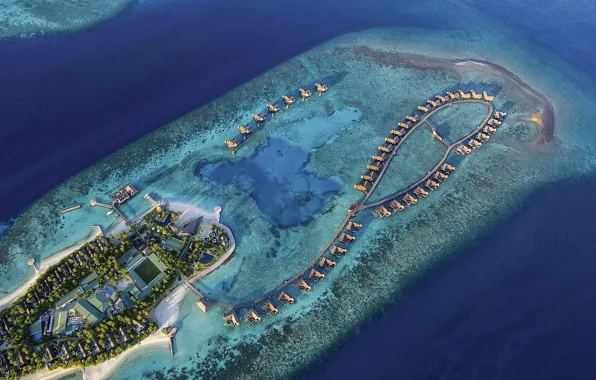 Palm trees, the ocean, island, The Maldives, resort, Laguna, Bungalow