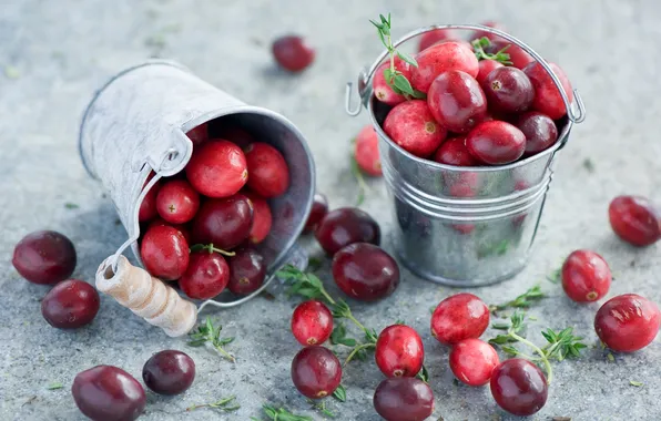 Picture berries, red, Anna Verdina, cranberry, buckets