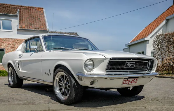 Picture Mustang, Ford, house, white