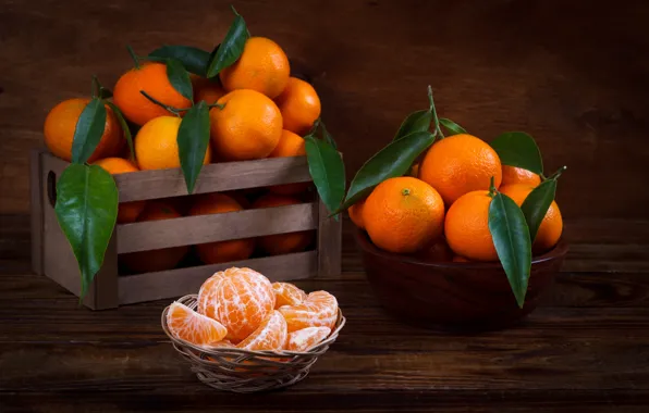 Leaves, citrus, slices, Mandarin