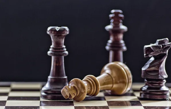 Wallpaper macro, horse, the game, chess, Board, figure, black background,  king for mobile and desktop, section разное, resolution 1920x1080 - download