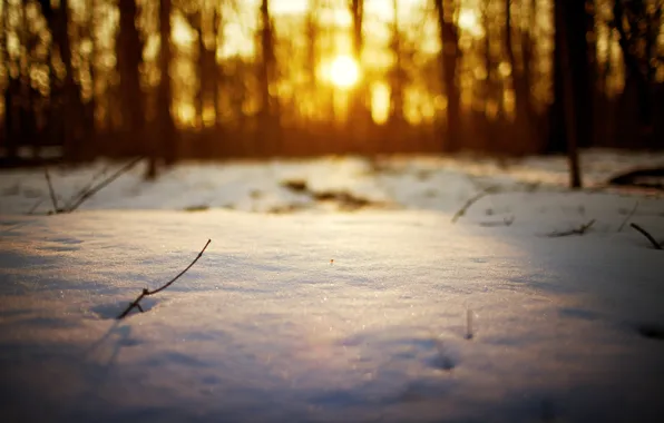 Winter, the sun, snow