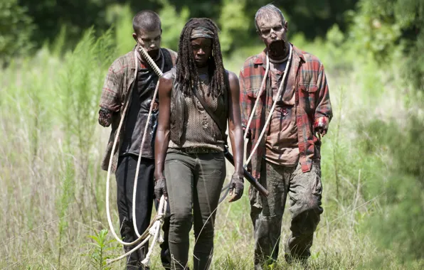 Picture dirt, zombies, death, the walking dead, rope, Michonne, mutilated