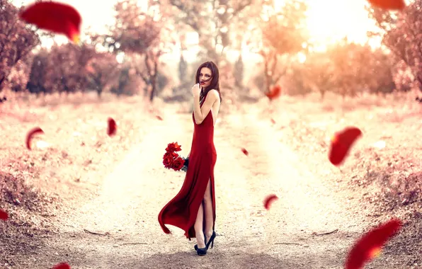 Roses, petals, the girl in the red, Alessandro Di Cicco, Red Petals