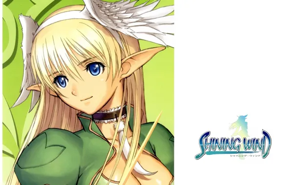 Pen, wings, ears, art, shining wind, tony taka, elwing