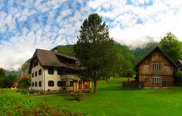 Picture grass, trees, home, Austria, Obertraun, Obertraun