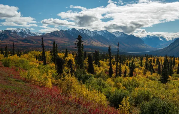 Autumn, forest, mountains, nature, Chile, Andes, Patagonia