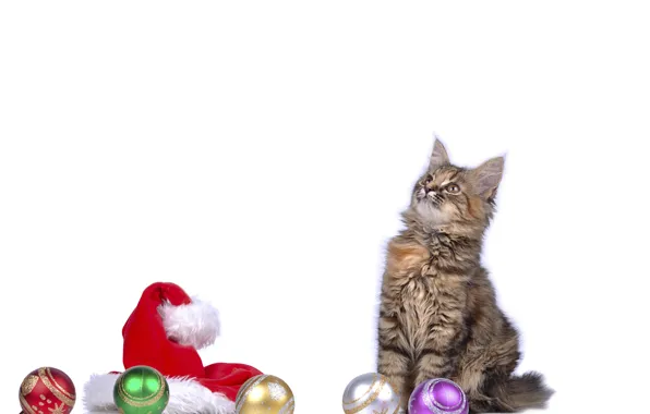 Picture cat, balls, hat, new year, kitty, cat, New Year