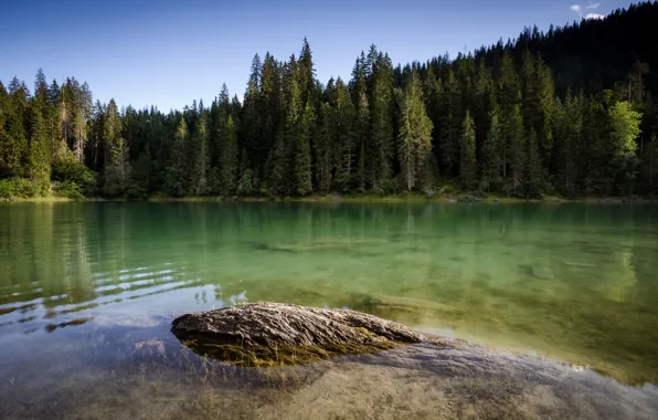 Picture forest, nature, lake, mountain