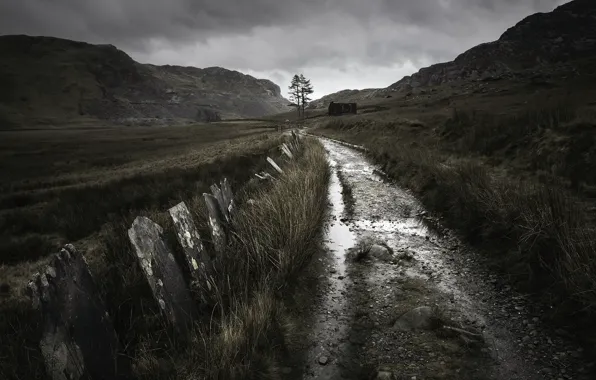 Picture road, field, the darkness