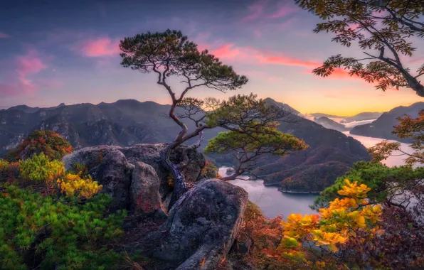 Picture stones, mountains, branches, boulders, pine, needles, pond, view