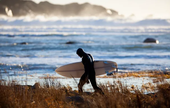 Waves, beach, surfer, sunlight, surfboard, spray, extreme sport