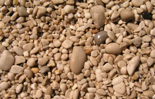 Pebbles, texture, textures, background desktop, tiny pebbles
