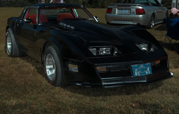 Corvette, Chevrolet, 1979, Greenwood, 350ci