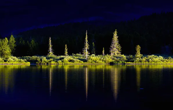 Trees, landscape, lake, Montana, USA, Glacier National Park, Swiftcurrent Lake