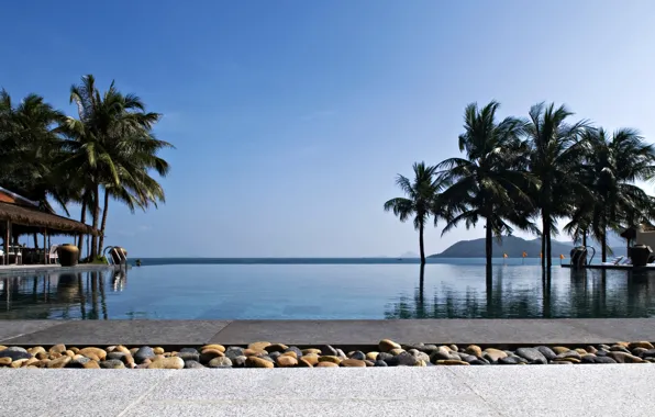 Picture palm trees, the ocean, pool, exotic