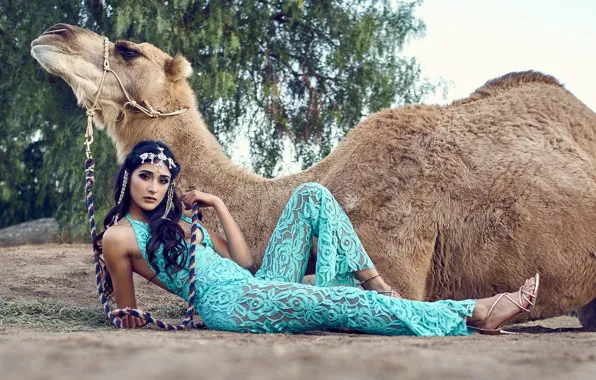 Girl, pose, camel
