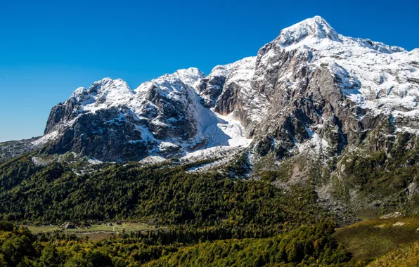 Picture snow, tops, mountains