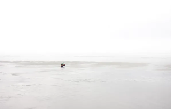 Picture sea, shore, toy