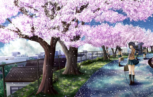 Road, girl, trees, flowers, the city, the fence, Sakura, art