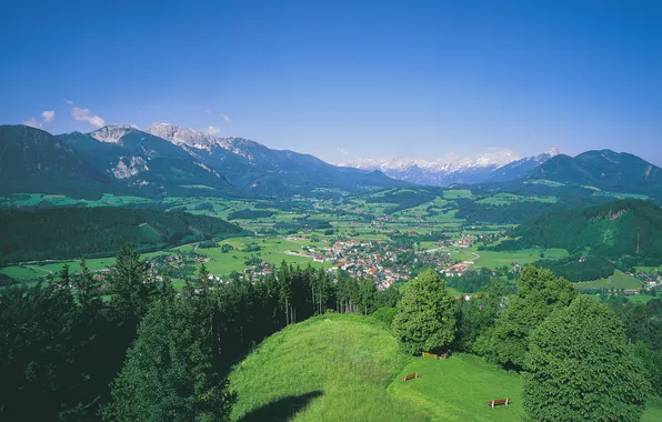 The sky, trees, mountains, home, Austria, valley, town, the village