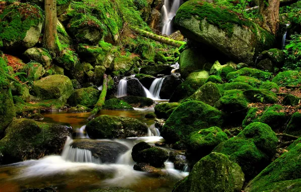 Picture nature, stream, stones, waterfall