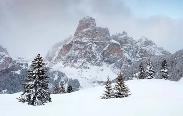 Picture winter, clouds, snow, trees, mountains, rocks, Dolomites, Corvara