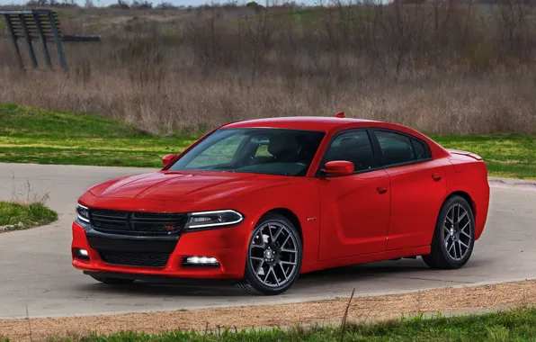 Dodge, charger, 2014