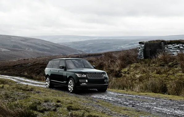 Sport, Land Rover, Range Rover, Sport, land Rover, range Rover