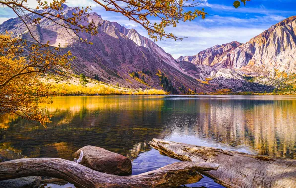 Picture autumn, landscape, mountains, branches, nature, lake, CA, USA