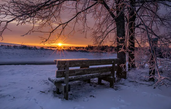 Winter, sunset, bench