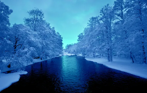The sky, snow, trees, river, Winter