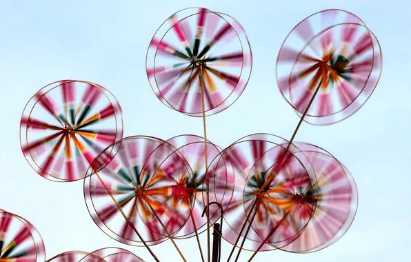 Picture the sky, the wind, toy