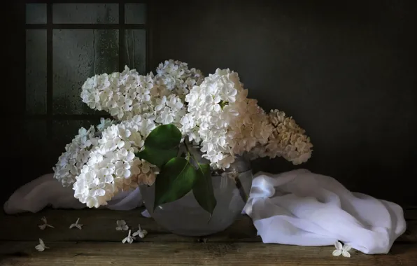 Picture white, bouquet, lilac