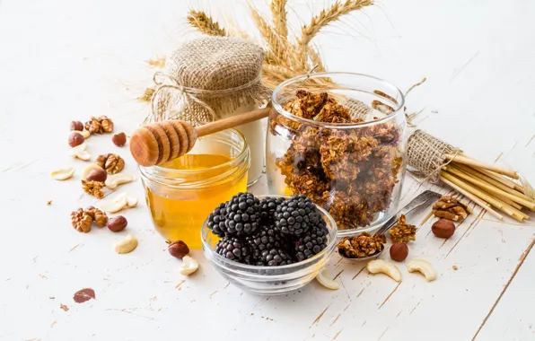 Honey, nuts, BlackBerry, yogurt, granola, Naumenko Oleksandra