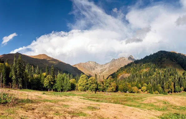 Picture autumn, forest, the sky, clouds, trees, mountains, Sunny, Abkhazia