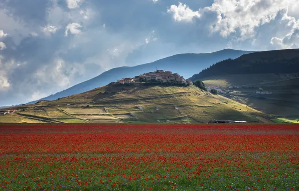 Flowers, mountains, hills, Maki, meadow, Italy, settlement, Tuscany