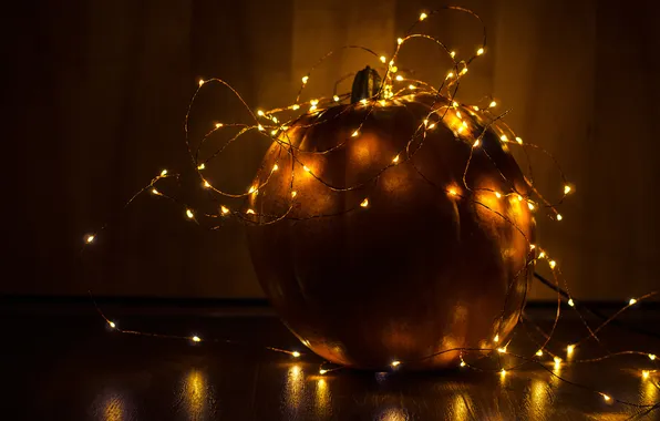 Autumn, light, the dark background, holiday, wire, pumpkin, Halloween, Halloween