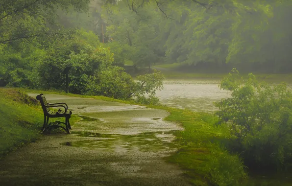 Picture nature, rain, spring, May, shop, Albany, Paul Jolicoeur Photography, Washington Park