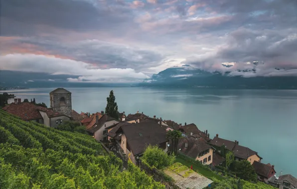 Lake, Switzerland, Lake Geneva, Vaud, Saint-Saphorin