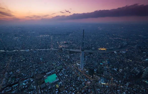 Sunset, the city, Tokyo