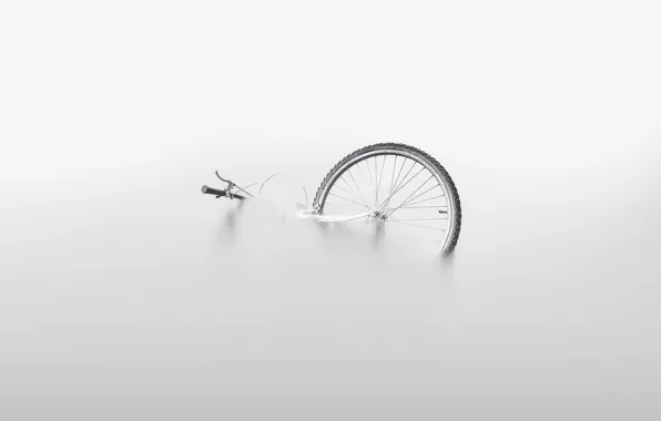Picture water, bike, fog